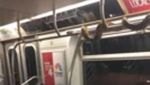 Foto: Snake on a Train! Penampakan Ular di Kereta dari Belahan Dunia