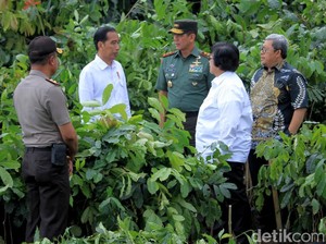 Mau Diselamatkan Jokowi, Sungai Citarum Diguyur Rp 1,5 T