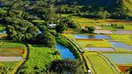 Foto: 5 Sungai Cantik di Dunia
