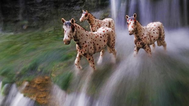 Peduli Satwa Liar, Pria Temanggung Bikin Foto Mainan