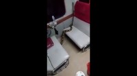 Dari lantai, ular itu melata ke kursi kereta dan naik ke dinding gerbong kereta ekonomi tersebut (Foto: Screenshot video viral ular di kereta)