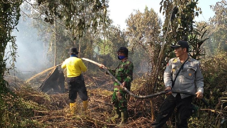 Bakar Hutan untuk Buka Kebun Sawit, Warga Riau Ditangkap Bakar Hutan untuk Buka Kebun Sawit, Warga Riau Ditangkap
