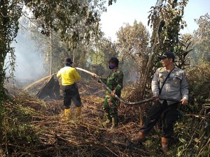 Bakar Hutan untuk Buka Kebun Sawit, Warga Riau Ditangkap