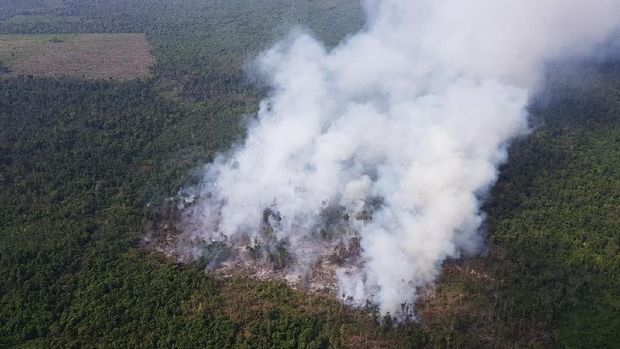Asap Membubung, Ini Penampakan Hutan Terbakar di Riau