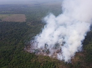 Pemerintah Diminta Antisipasi Karhutla