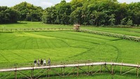 Datanglah bersama kawan-kawan untuk menikmati alam hijau dari sudut Yogyakarta ini. Berfotolah menggunakan drone agar lebih bagus hasilnya (poe.ri/Instagram)