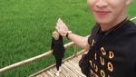 Foto: Jembatan Bambu Tengah Sawah Ini Lagi Hits di Yogya