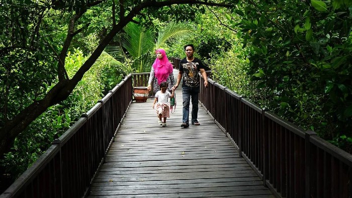 mangrove wonorejo