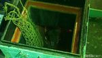 Muatan Diduga Sabu Jumlah Besar dari Kapal Berbendera Taiwan