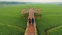 Gazebo-gazebo tertata rapi dipinggir jalan, biasa digunakan untuk bersantai melihat langsung sawah di Desa Wisata Kemetul. Hijau sekali saat padi mulai berkembang (hs_nandika2/Instagram)