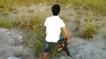 Detik-detik Anjing Dilemparkan untuk Jadi Santapan Buaya yang Viral