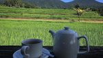 Restoran di Tabanan Ini Suguhkan Pemandangan Hamparan Sawah, Keren!