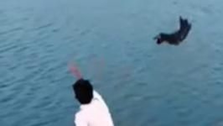 Detik Detik Anjing Dilemparkan Untuk Jadi Santapan Buaya Yang Viral