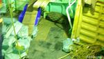 Muatan Diduga Sabu Jumlah Besar dari Kapal Berbendera Taiwan