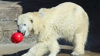 Dia lahir pada 13 Desember 1980 di Seneca Park Zoo, Rochester, New York. Lalu satu tahun kemudian dia tiba di Kebun Binatang Philadelphia.