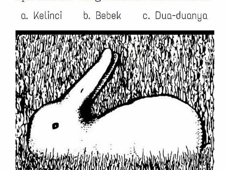 Tes IQ Sekaligus Uji Ketajaman Mata Anda dengan Menebak Gambar Ini
