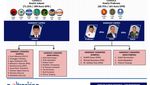Jokowi Capres PDIP, Beginikah Pertarungan 2019?