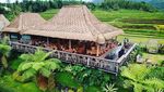 Restoran di Tabanan Ini Suguhkan Pemandangan Hamparan Sawah, Keren!