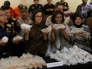 Susi Tak Rela Lobster Sampai Punah Seperti Ikan Sidat