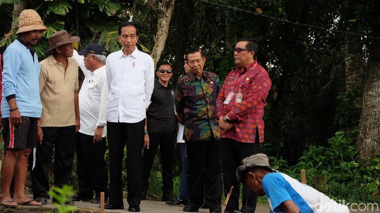 Tinjau Proyek Padat Karya di Tabanan, Jokowi Ajak Dialog Petani Tinjau Proyek Padat Karya di Tabanan, Jokowi Ajak Dialog Petani