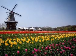 10 Negara dengan Internet 4G Paling Ngebut di Dunia