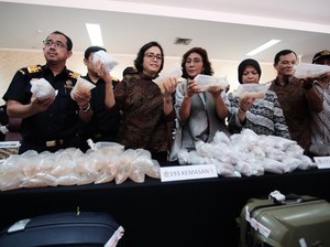 Marak Selundupan, Susi: Lama-lama Orang RI Makan Lobster Impor