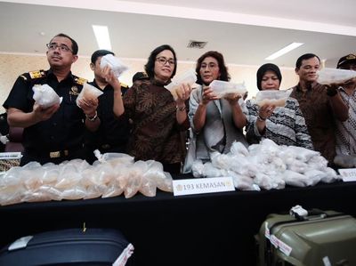 Duet Maut Susi-Sri Mulyani Gagalkan Penyelundupan Bayi Lobster