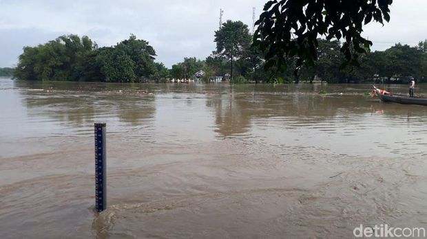 Bengawan Solo 'Siaga Kuning', Air Meluber ke Pemukiman dan Sawah