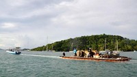 PLN harus bekerja keras untuk melistriki rumah 450 kepala keluarga (KK) yang ada di pulau tersebut karena sulitnya medan dan alat transportasi. Istimewa/PLN.