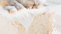 Seperti sedang menguyel-uyel bantal. Kucing ini terlihat pulas tidur di atas cake. Foto: Instagram cats_in_food