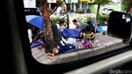 Miris! Begini Potret Anak-anak Imigran Afghanistan di Kalideres