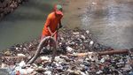 Penemuan di Kali Mampang: Sanca, Biawak hingga Sofa