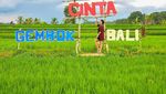 Foto: Sawah Zaman Now dari Semarang Sampai Bali