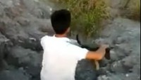 Video seorang pria melemparkan anjing ke sungai jadi viral di media sosial. Anjing diduga sengaja dilemparkan untuk jadi santapan buaya.