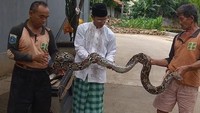Rusdi menceritakan saat itu petugas UPK Badan Air Kecamatan Mampang sedang mengangkat sampah di lokasi tersebut. Namun tiba-tiba ada kepala ular muncul. (dok UPK Badan Air Kecamatan Mampang)