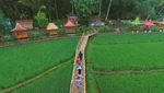 Foto: Sawah Zaman Now dari Semarang Sampai Bali