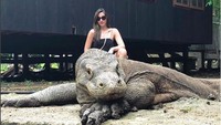 Nia Ramadhani dan keluarganya juga mengunjungi Pulau Komodo. Tak lupa, Nia pun berpose dengan patung komodo di sana. Foto: Instagram Nia Ramadhani