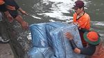 Penemuan di Kali Mampang: Sanca, Biawak hingga Sofa