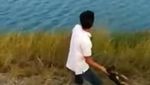 Detik-detik Anjing Dilemparkan untuk Jadi Santapan Buaya yang Viral