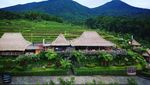 Restoran di Tabanan Ini Suguhkan Pemandangan Hamparan Sawah, Keren!