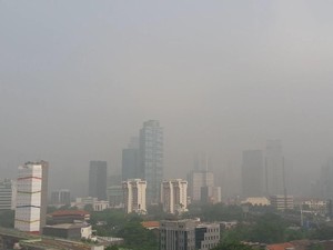 BMKG Jawab Rasa Penasaran Warga Jakarta tentang Kabut Pagi Ini