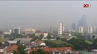 Dia mengatakan kabut ini biasa muncul jika sehari sebelumnya terjadi hujan. (Foto: Screenshot video 20detik)