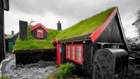 Rumah di Kepulauan Faroe juga tampak cantik dengan rerumputan di atasnya. Boredpanda/Istimewa.