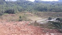 Petugas SAR masih mengevakuasi korban. Sejauh ini ditemukan 9 korban jiwa. Foto: Imam Suripto/detikcom