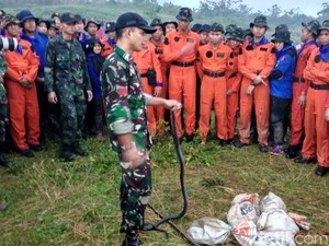 Aksi Prajurit TNI dan Pramugari Kepresidenan Survival Santap Cobra
