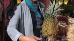 Menteri Rini Takjub Melihat Hasil Kebun Balkondes