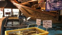 Ada sekitar 10 jenis ikan yang bisa Anda pilih. Wow, seru yah! Foto: Istimewa