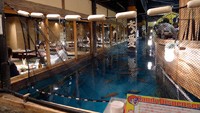 Tak hanya bisa bersantap sambil lesehan, akan tetapi ikan-ikan dan gemericik air juga bisa jadi pemandangan seru. Foto: Istimewa