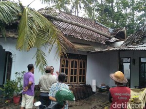 Pohon Tumbang Timpa Rumah di Blitar, Nenek dan Cucu Balitanya Luka