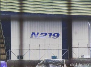PTDI Target Kirim Pesawat N219 Pertama di 2022